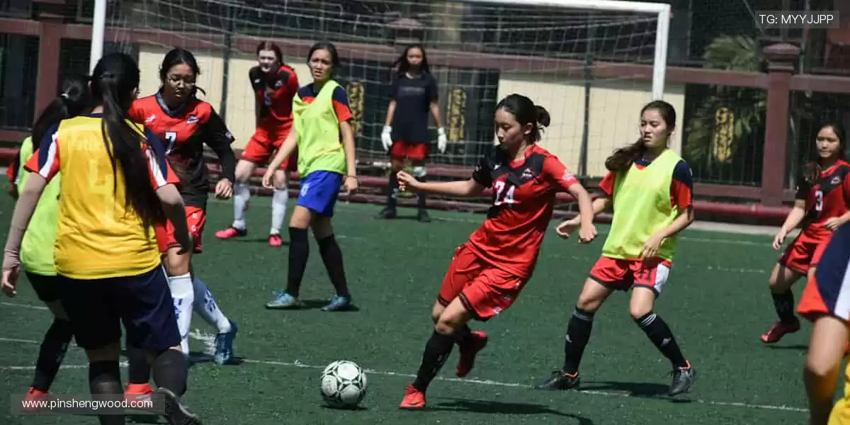 🏆 从看台到赛场，你的每一步都是传奇！🏃♂️